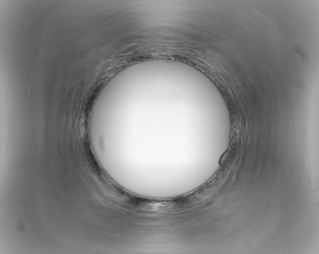 X0000111600323200907161220