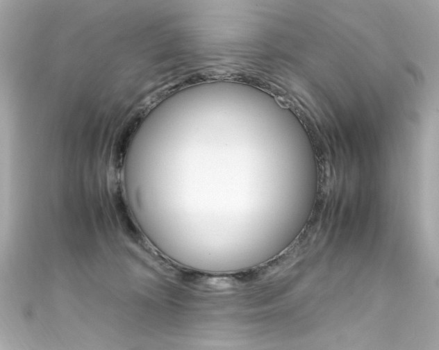 X0000111600324200907161220