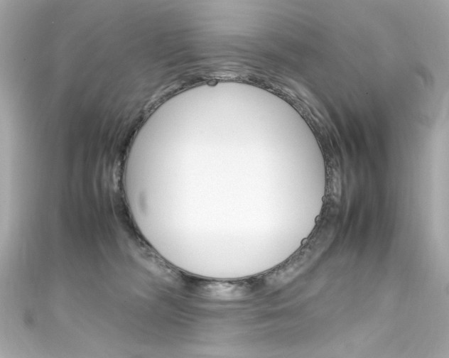 X0000111600326200907161220
