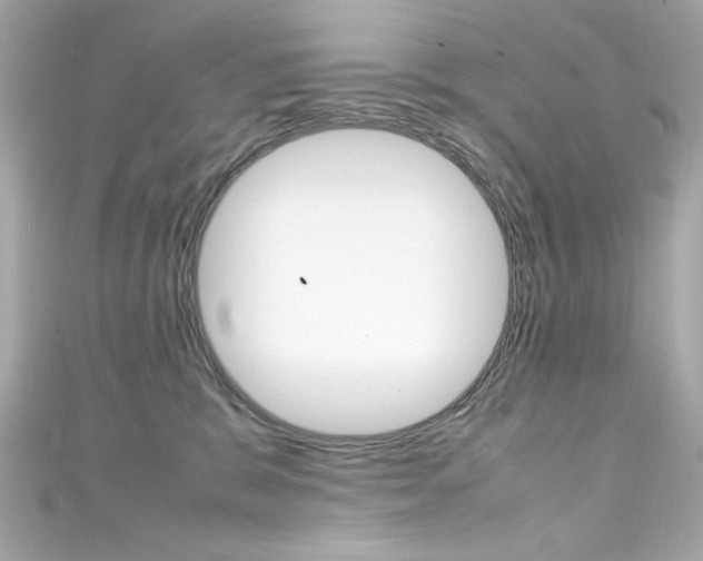 X0000111600327200907161220