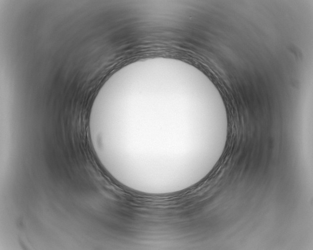 X0000111600328200907161220