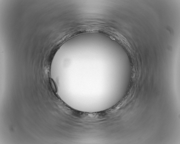X0000111600329200907161220