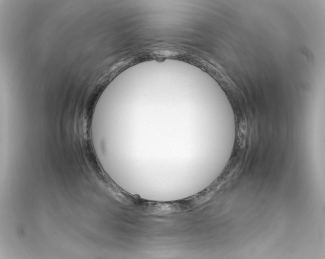 X0000111600330200907161220