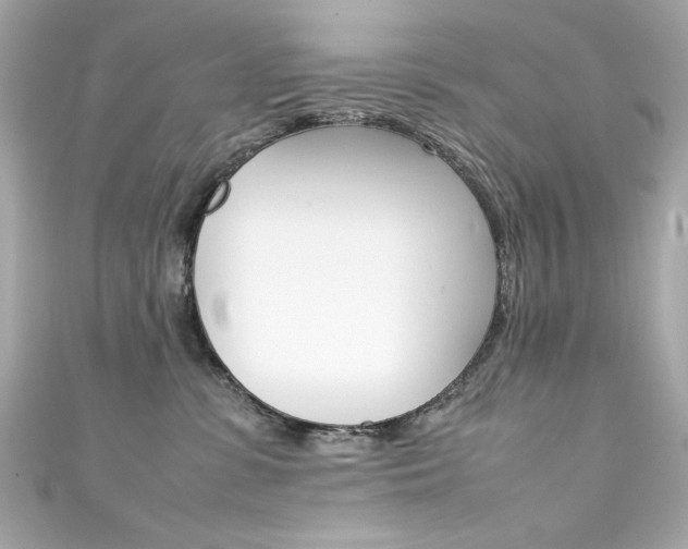 X0000111600331200907161220