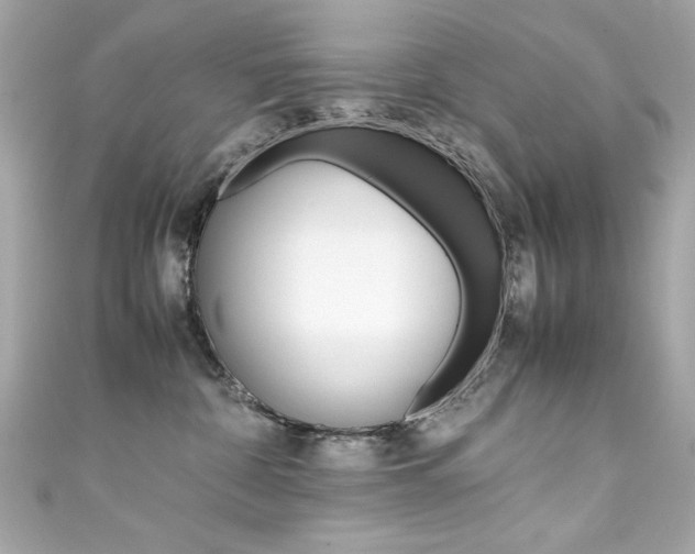 X0000111600332200907161220