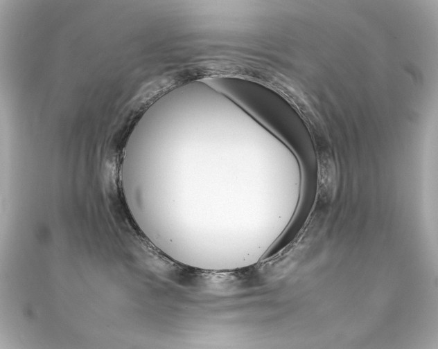 X0000111600333200907161220