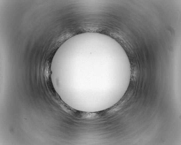 X0000111600334200907161220