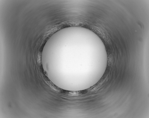 X0000111600335200907161219