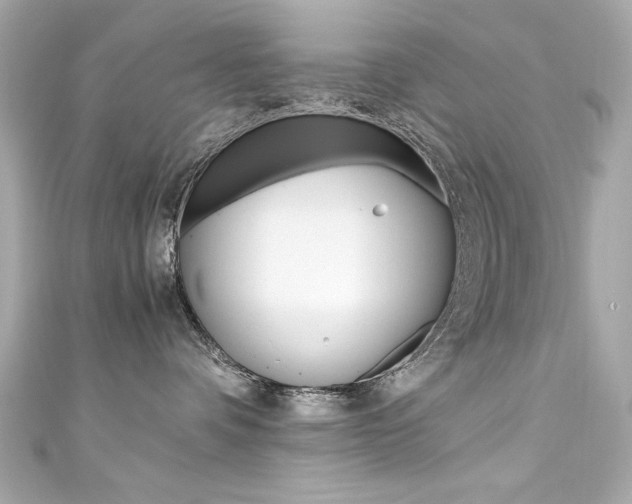 X0000111600336200907161219