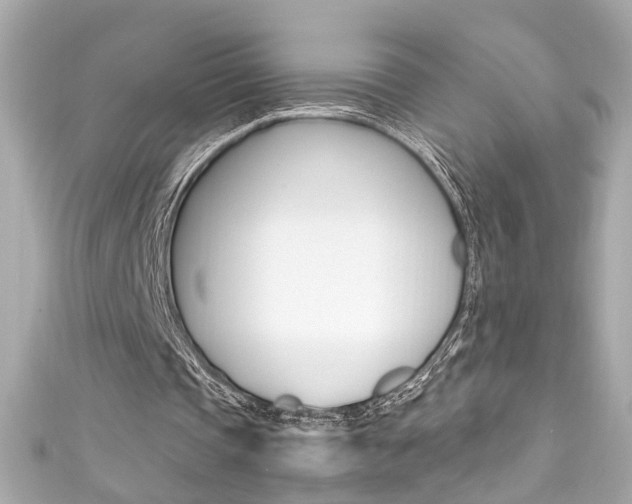 X0000111600337200907161219