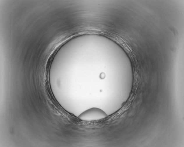 X0000111600338200907161219