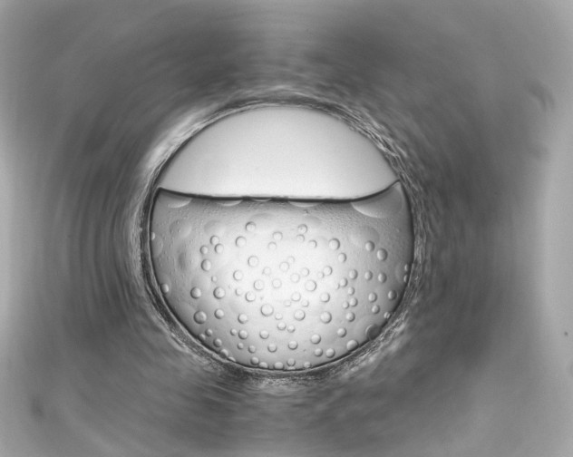 X0000111600341200907161219
