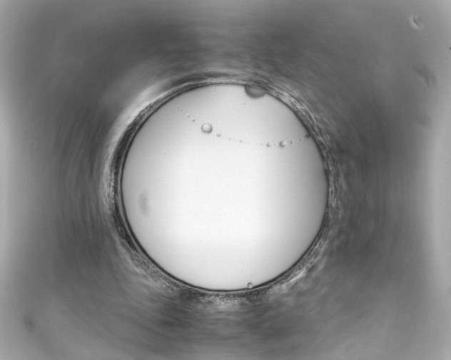 X0000111600343200907161219