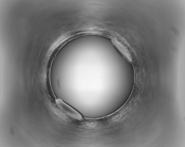 X0000111600344200907161219