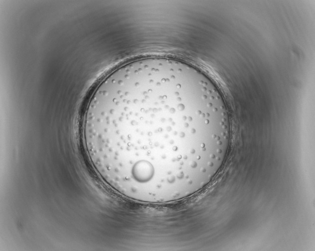 X0000111600346200907161219