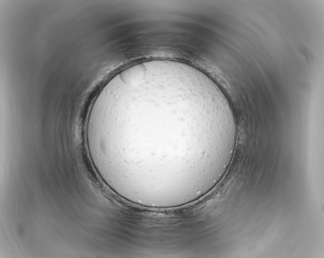 X0000111600347200907161219