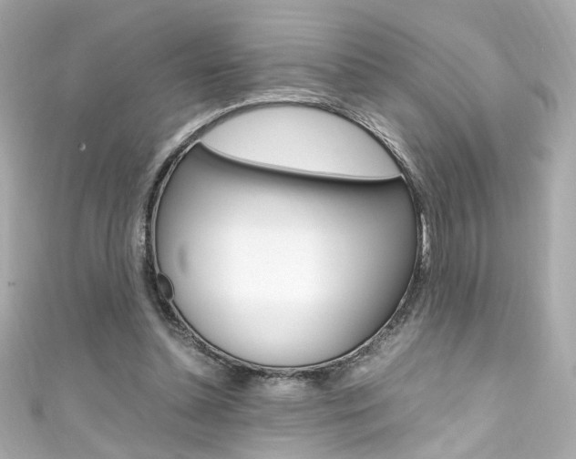 X0000111600348200907161219