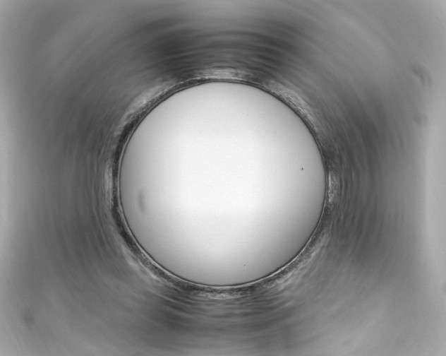 X0000111600349200907161219