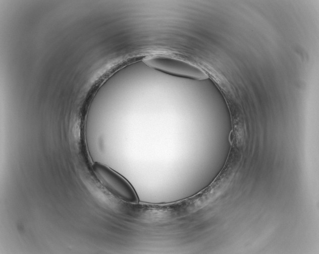 X0000111600350200907161219