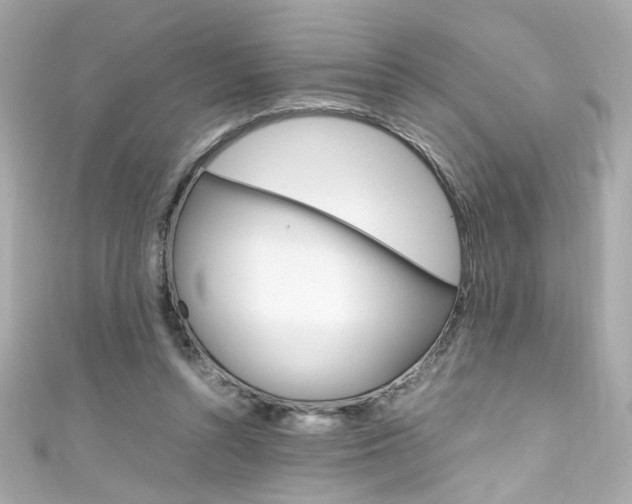 X0000111600352200907161219