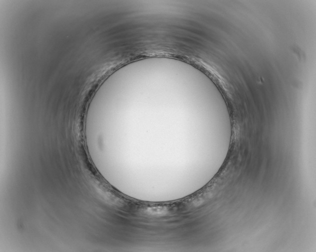 X0000111600353200907161219
