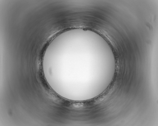 X0000111600355200907161219