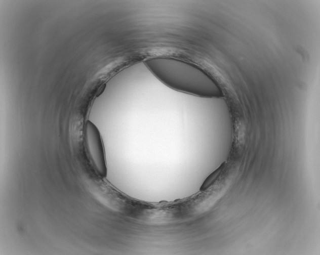 X0000111600356200907161219