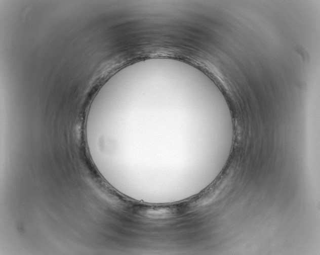 X0000111600357200907161219