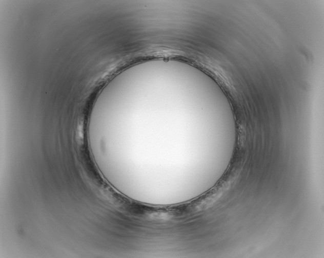 X0000111600358200907161219