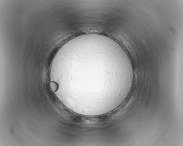 X0000111600359200907161219