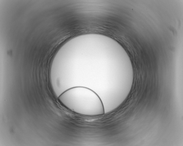 X0000111600360200907161219