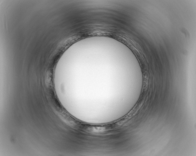 X0000111600361200907161219