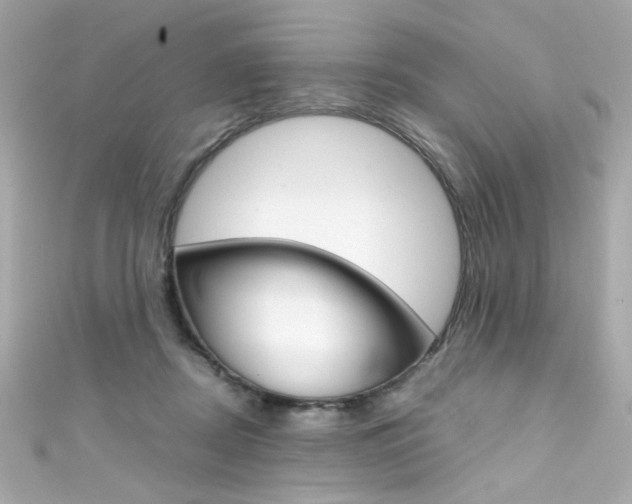 X0000111600362200907161219