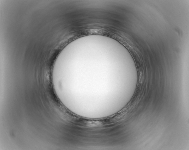 X0000111600363200907161219