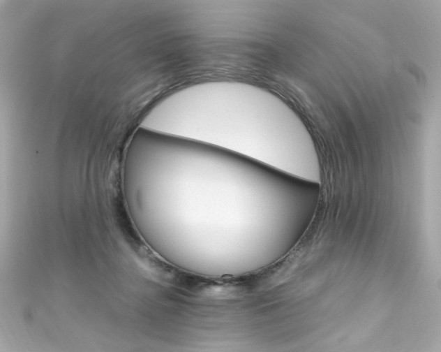 X0000111600364200907161219