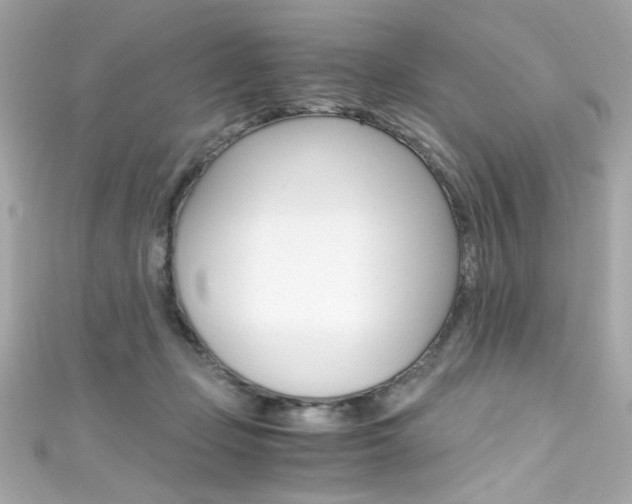 X0000111600365200907161219