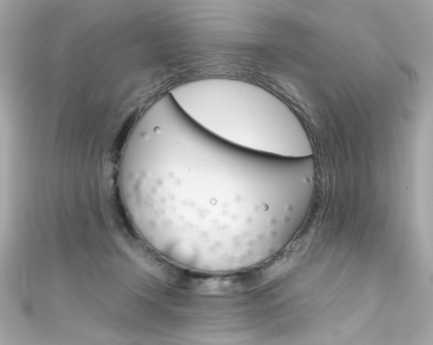 X0000111600366200907161219