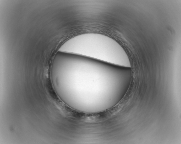 X0000111600368200907161219