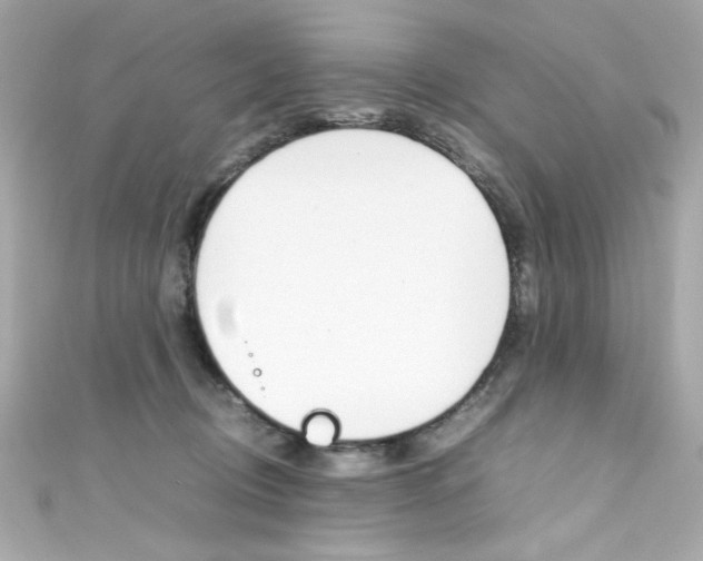 X0000111600370200907161219