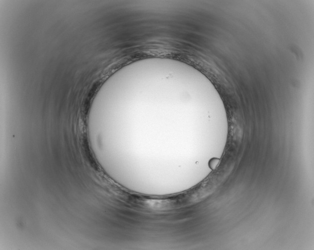 X0000111600371200907161219