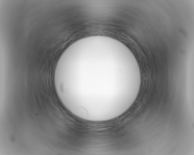 X0000111600372200907161219