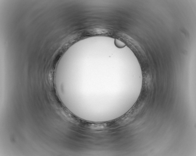 X0000111600373200907161219