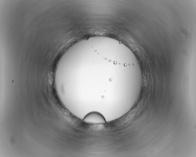X0000111600374200907161219