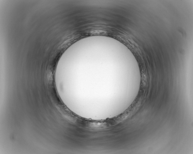 X0000111600375200907161219