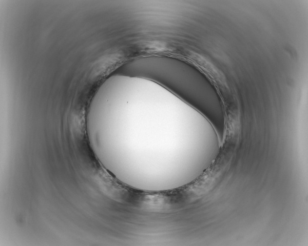 X0000111600376200907161219