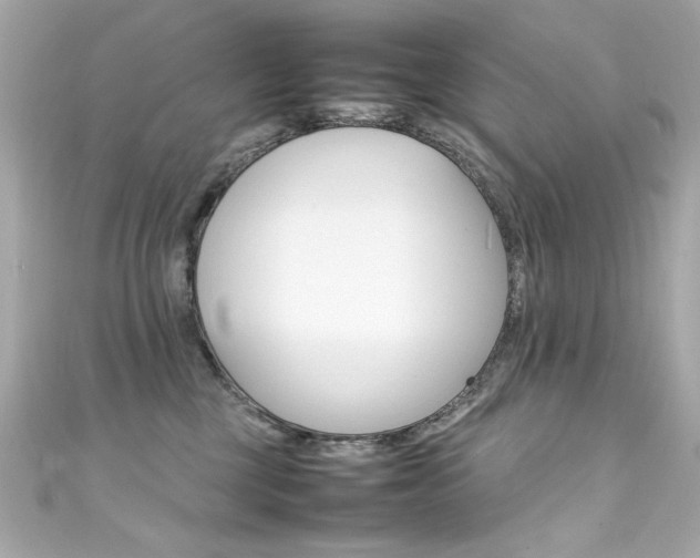 X0000111600377200907161219