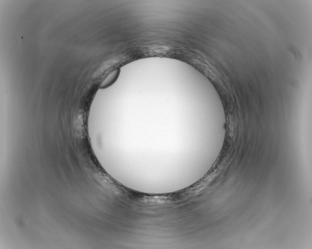 X0000111600378200907161219