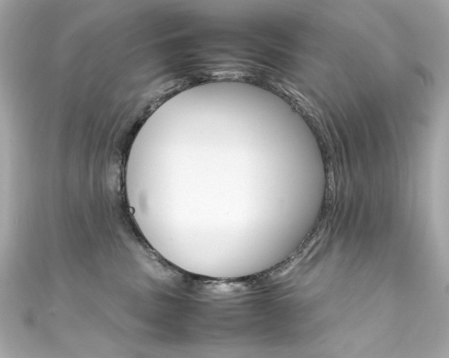 X0000111600379200907161219