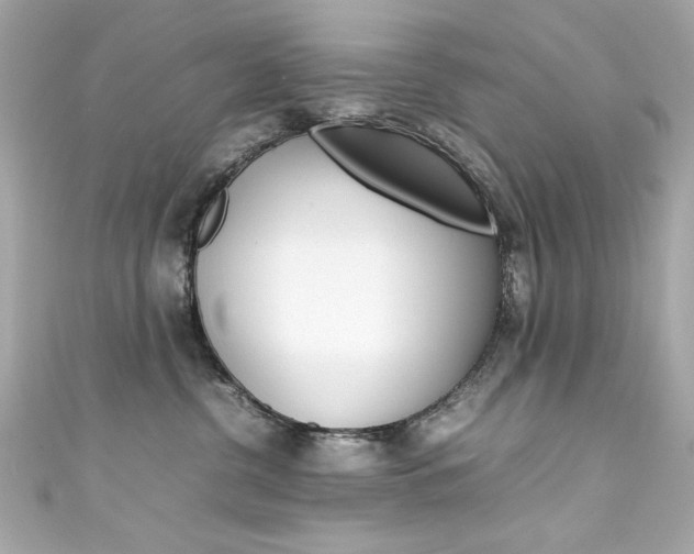 X0000111600380200907161219