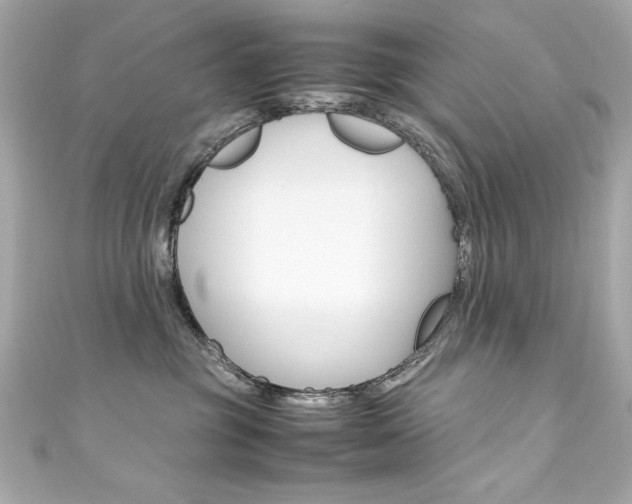 X0000111600381200907161219